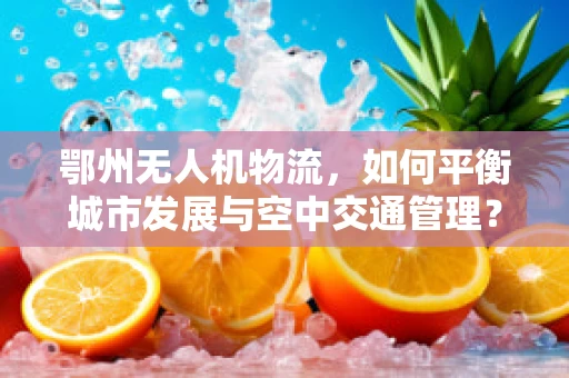 鄂州无人机物流，如何平衡城市发展与空中交通管理？