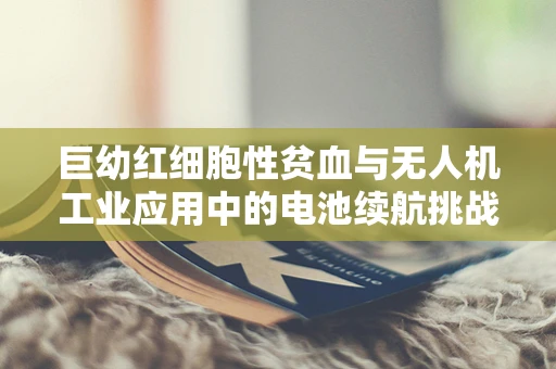 巨幼红细胞性贫血与无人机工业应用中的电池续航挑战，如何平衡营养与续航？
