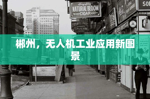 郴州，无人机工业应用新图景