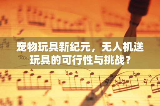 宠物玩具新纪元，无人机送玩具的可行性与挑战？