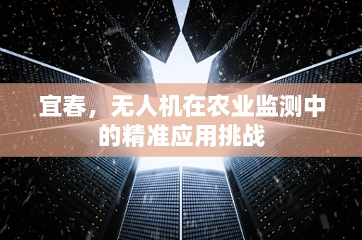 宜春，无人机在农业监测中的精准应用挑战