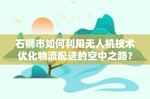石狮市如何利用无人机技术优化物流配送的空中之路？