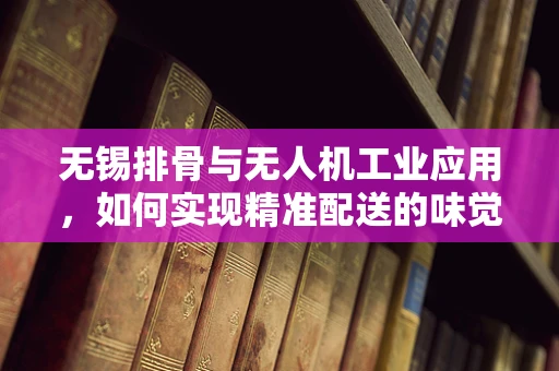 无锡排骨与无人机工业应用，如何实现精准配送的味觉挑战？