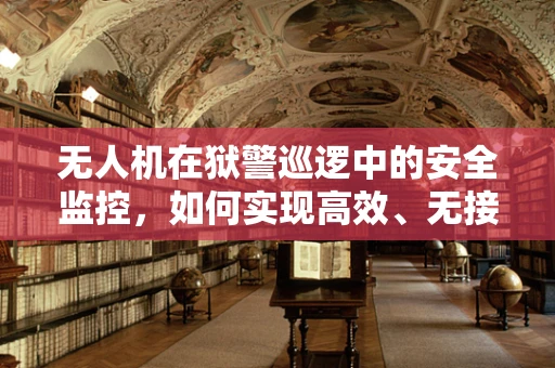无人机在狱警巡逻中的安全监控，如何实现高效、无接触的监狱管理？