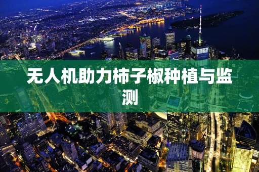 无人机助力柿子椒种植与监测