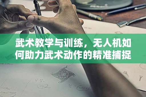 武术教学与训练，无人机如何助力武术动作的精准捕捉与评估？