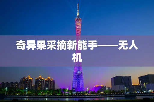 奇异果采摘新能手——无人机