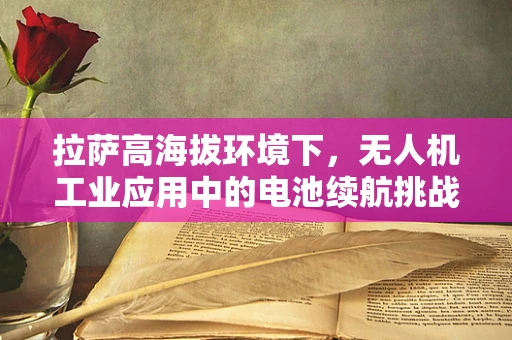 拉萨高海拔环境下，无人机工业应用中的电池续航挑战与解决方案