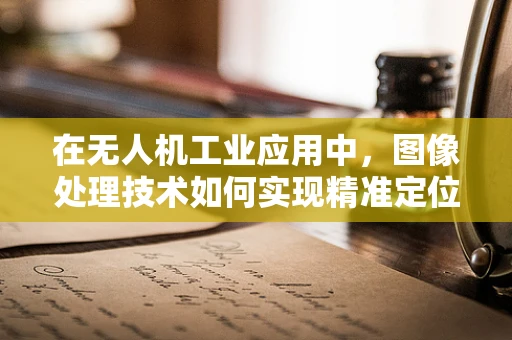 在无人机工业应用中，图像处理技术如何实现精准定位与避障？