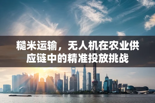 糙米运输，无人机在农业供应链中的精准投放挑战