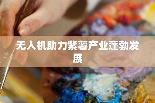 无人机助力紫薯产业蓬勃发展