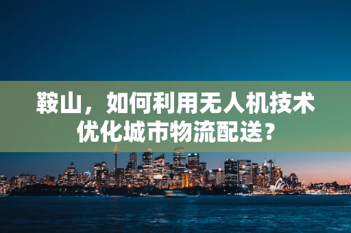 鞍山，如何利用无人机技术优化城市物流配送？