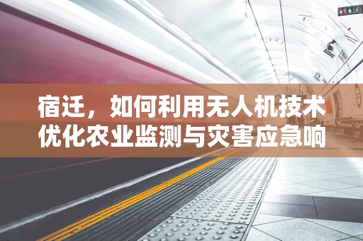 宿迁，如何利用无人机技术优化农业监测与灾害应急响应？