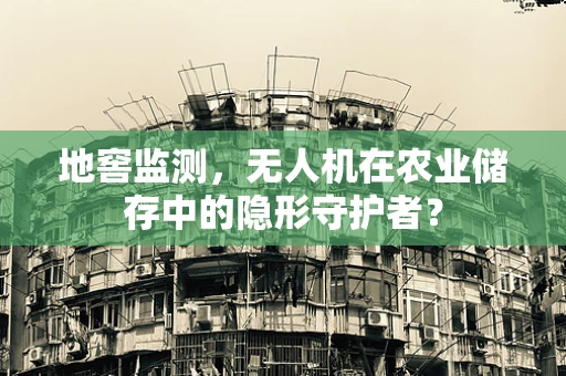 地窖监测，无人机在农业储存中的隐形守护者？