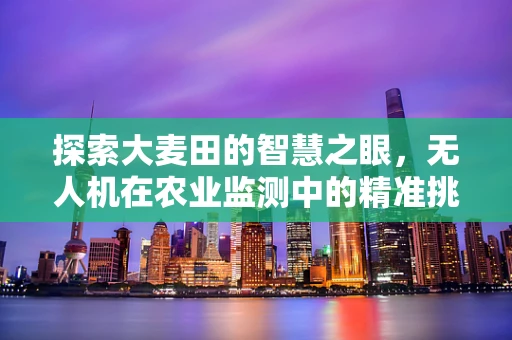 探索大麦田的智慧之眼，无人机在农业监测中的精准挑战与解决方案