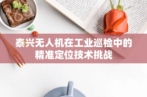 泰兴无人机在工业巡检中的精准定位技术挑战