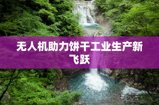 无人机助力饼干工业生产新飞跃