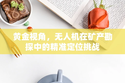 黄金视角，无人机在矿产勘探中的精准定位挑战