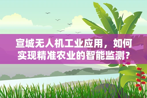 宣城无人机工业应用，如何实现精准农业的智能监测？