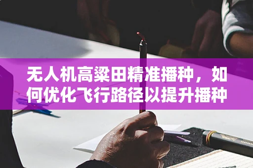 无人机高粱田精准播种，如何优化飞行路径以提升播种效率？