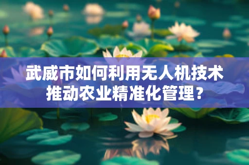 武威市如何利用无人机技术推动农业精准化管理？