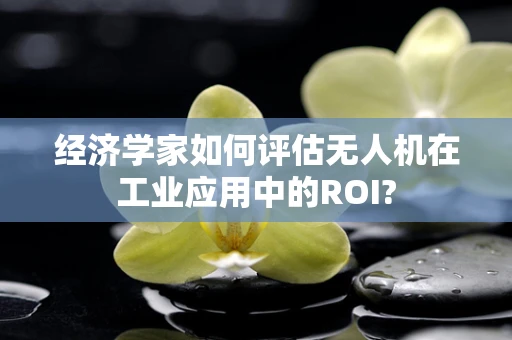 经济学家如何评估无人机在工业应用中的ROI?