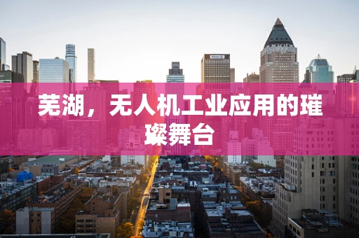芜湖，无人机工业应用的璀璨舞台