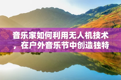 音乐家如何利用无人机技术，在户外音乐节中创造独特的空中表演体验？