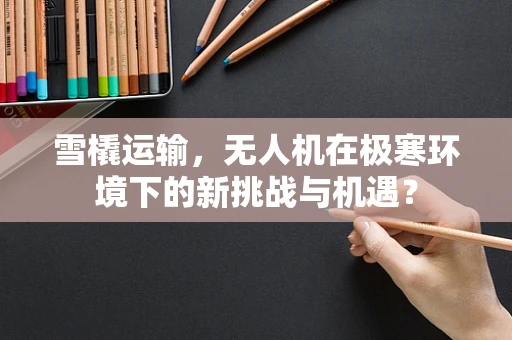 雪橇运输，无人机在极寒环境下的新挑战与机遇？