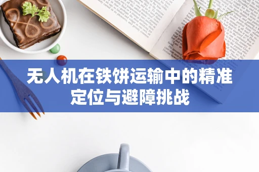 无人机在铁饼运输中的精准定位与避障挑战