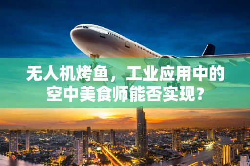 无人机烤鱼，工业应用中的空中美食师能否实现？