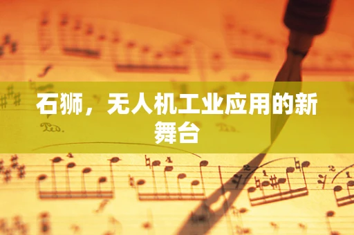 石狮，无人机工业应用的新舞台