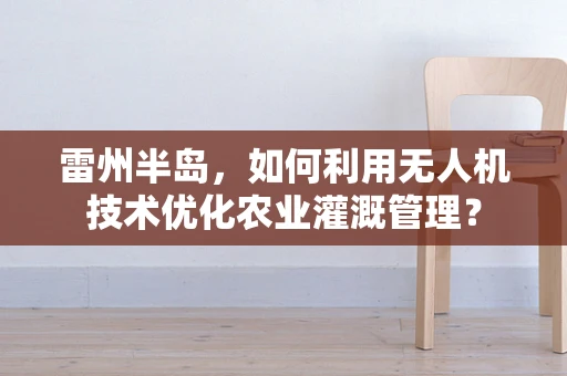 雷州半岛，如何利用无人机技术优化农业灌溉管理？
