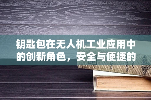 钥匙包在无人机工业应用中的创新角色，安全与便捷的双重挑战