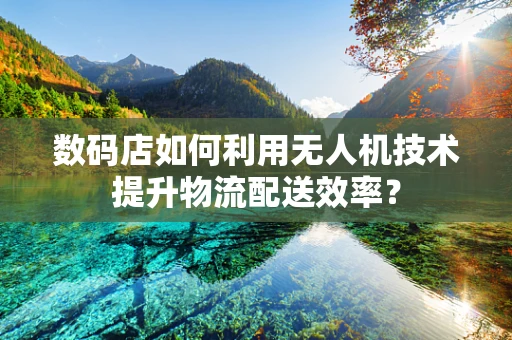 数码店如何利用无人机技术提升物流配送效率？