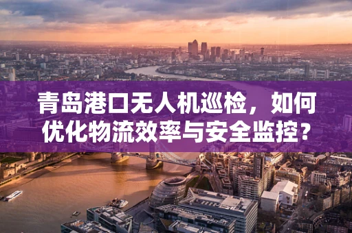 青岛港口无人机巡检，如何优化物流效率与安全监控？