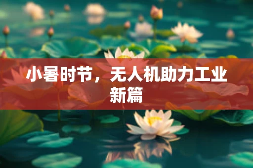 小暑时节，无人机助力工业新篇