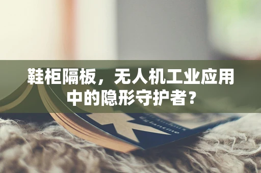鞋柜隔板，无人机工业应用中的隐形守护者？