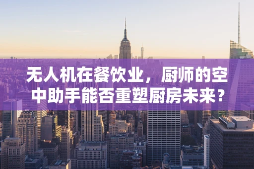 无人机在餐饮业，厨师的空中助手能否重塑厨房未来？