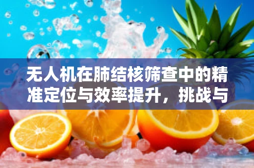 无人机在肺结核筛查中的精准定位与效率提升，挑战与机遇？