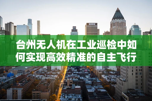 台州无人机在工业巡检中如何实现高效精准的自主飞行？