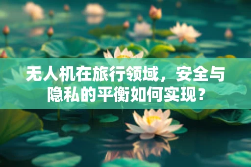 无人机在旅行领域，安全与隐私的平衡如何实现？