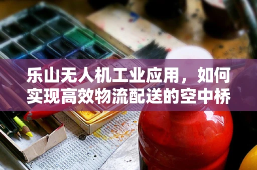 乐山无人机工业应用，如何实现高效物流配送的空中桥梁？