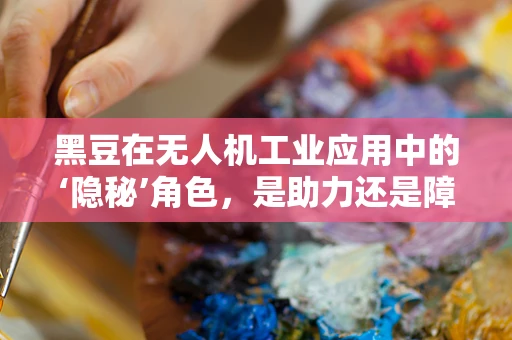 黑豆在无人机工业应用中的‘隐秘’角色，是助力还是障碍？