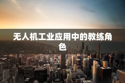 无人机工业应用中的教练角色