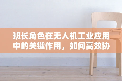 班长角色在无人机工业应用中的关键作用，如何高效协调团队与任务执行？