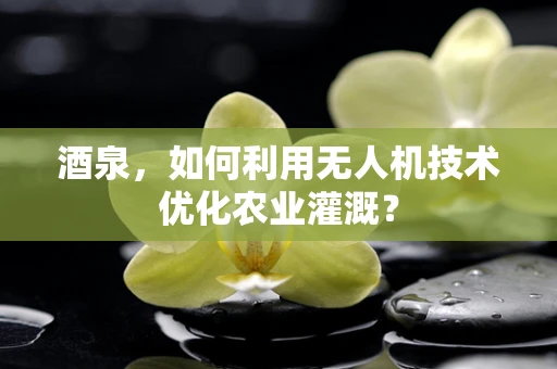 酒泉，如何利用无人机技术优化农业灌溉？