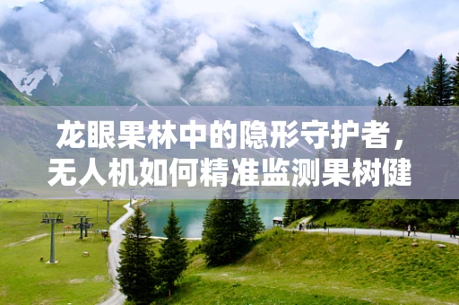 龙眼果林中的隐形守护者，无人机如何精准监测果树健康？