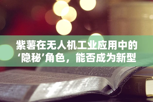 紫薯在无人机工业应用中的‘隐秘’角色，能否成为新型能源的‘黑马’？