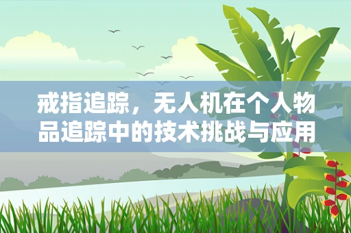 戒指追踪，无人机在个人物品追踪中的技术挑战与应用前景